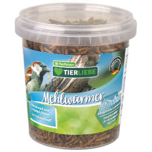 TIERLIEBE Mehlwürmer Dose 1 l